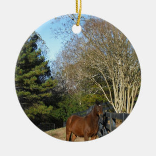 Ornement En Céramique Cheval brun contre une clôture