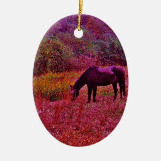 Ornement En Céramique Cheval dans un champ de couleur Kaleidoscope (Devant)