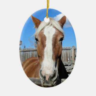 Ornement En Céramique Cheval de trait belge