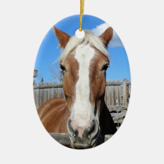 Ornement En Céramique Cheval de trait belge (Devant)