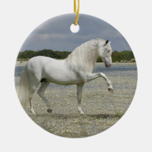 Ornement En Céramique Chevaux d'imaginaire : Seigneur du lac