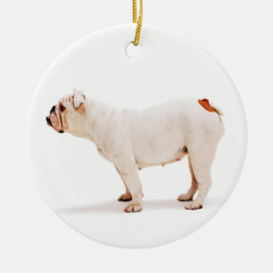 Ornement En Céramique Chien blanc mignon Bulldog