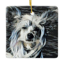 Chien Crête Chinoise