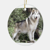 Ornement En Céramique Chien de Malamute d'Alaska (Gauche)
