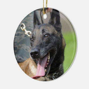 Ornement En Céramique Chien de sourire de Malinois de Belge