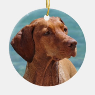 Ornement En Céramique Chien magyar de Vizsla