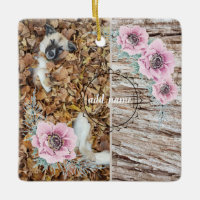 chien photo de collage photo moderne