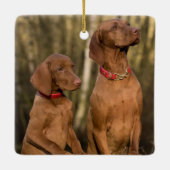 Ornement En Céramique Chiens à dos de Vizsla (Dos)