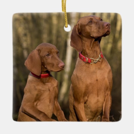 Ornement En Céramique Chiens à dos de Vizsla (Devant)