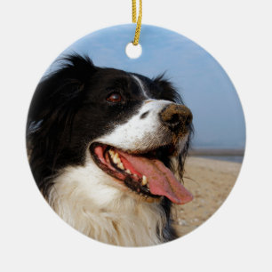 Ornement En Céramique Chiens joyeux à la plage