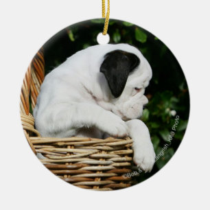 Ornement En Céramique Chiots de boxeur dans le panier