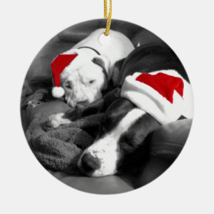 Ornement En Céramique chiots pitbulles de Noël endormis adorable père No
