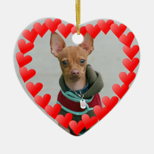 Ornement En Céramique Chiwawa
