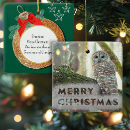 Ornement En Céramique Chouette blanche en hiver Joyeux Noël