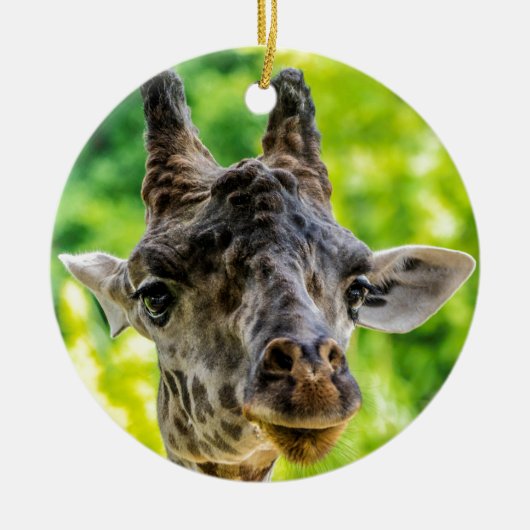 Ornement En Céramique Cils de girafe (Devant)