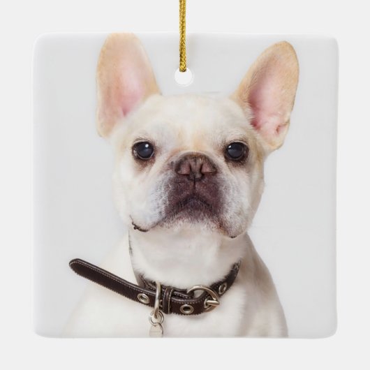 Ornement En Céramique Citation préférée de souvenir pour animaux de comp (Dos)