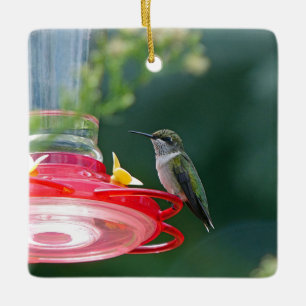 Ornement En Céramique Colibri perché