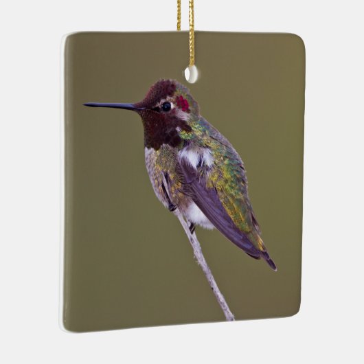 Ornement En Céramique Colibri reposant (Droite)