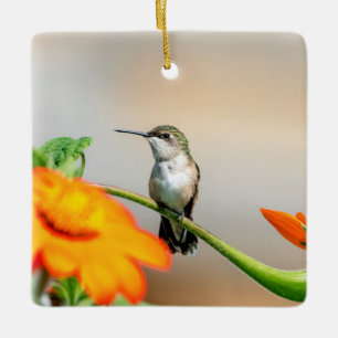 Ornement En Céramique Colibri sur une plante en fleurs