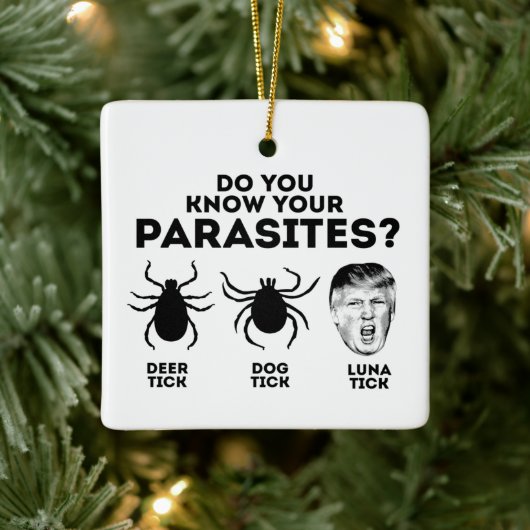 ORNEMENT EN CÉRAMIQUE CONNAISSEZ VOS PARASITES (Arbre)