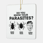 ORNEMENT EN CÉRAMIQUE CONNAISSEZ VOS PARASITES (Gauche)