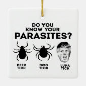 ORNEMENT EN CÉRAMIQUE CONNAISSEZ VOS PARASITES (Dos)