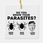 ORNEMENT EN CÉRAMIQUE CONNAISSEZ VOS PARASITES (Devant)