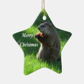 Ornement En Céramique Consommation de Groundhog (Droite)