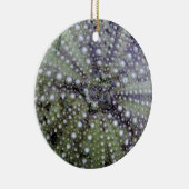 Ornement En Céramique Coquillage d'oursin (Droite)