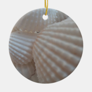 Ornement En Céramique Coquillages blancs ensoleillés, Sea Shell Beach ét