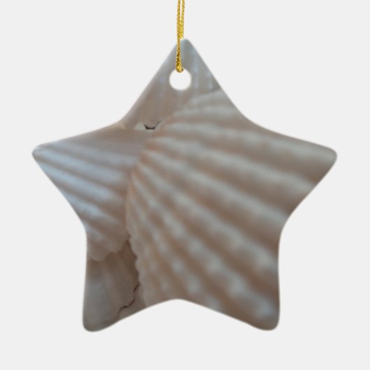 Ornement En Céramique Coquillages blancs ensoleillés, Sea Shell Beach ét (Devant)