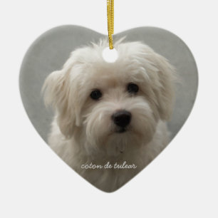 Ornement En Céramique Coton de Tulear
