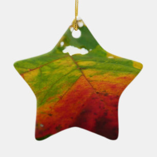 Ornement En Céramique Couleurs de la feuille d'érable Automne Photograph