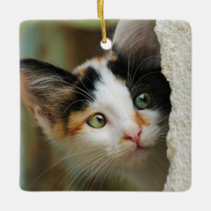 Ornement En Céramique Cute Curieux Chat Kitten avec les yeux de prière -