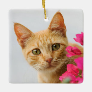 Ornement En Céramique Cute Ginger Cat Kitten regarde la photo -