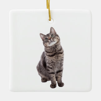 Ornement En Céramique Cute tabby Chat