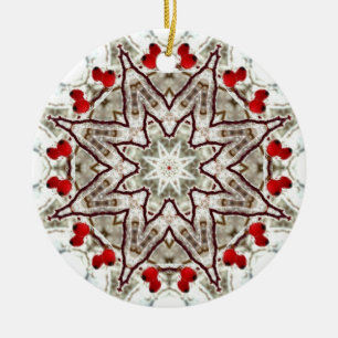 Ornement En Céramique Cynorrhodons sur la glace