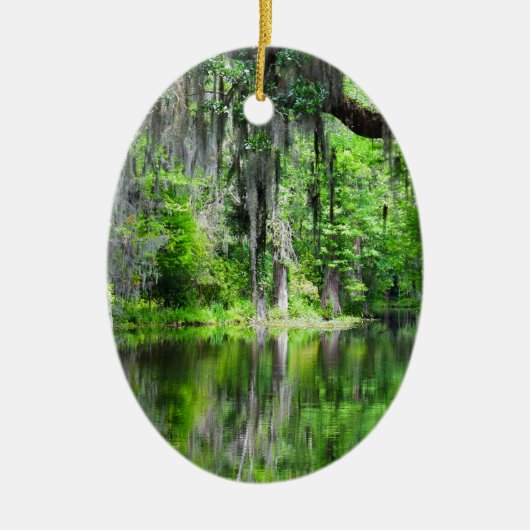 Ornement En Céramique Cypress Lake Oval Ornament (Devant)