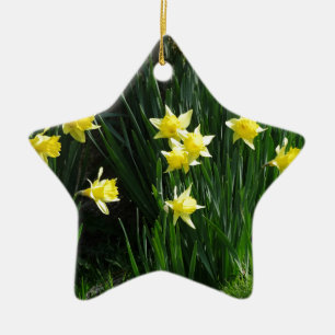 Ornement En Céramique Daffodiques de printemps
