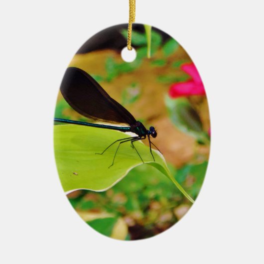 Ornement En Céramique Damselfly et Rose (Devant)