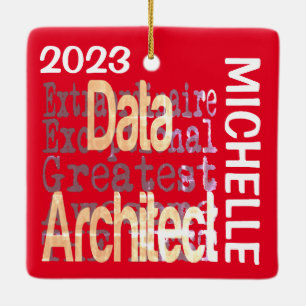 Ornement En Céramique Data Architect Extraordinaire CUSTOM