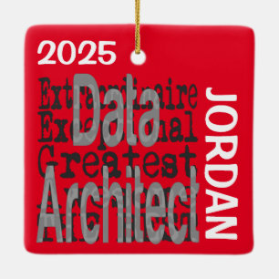 Ornement En Céramique Data Architect Extraordinaire CUSTOM