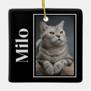 Ornement En Céramique De L'Autre Côté Du Rainbow Bridge Silver Pet Cat M