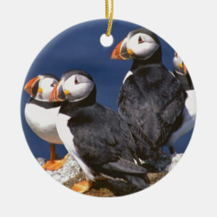 Ornement en céramique de Macareux-tastic