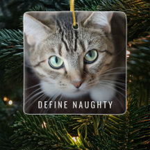 Définissez sale | Photo arbre de Noël