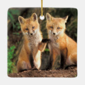 Ornement En Céramique Deux Pups Red Fox devant leur Den (Dos)