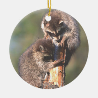 Ornement En Céramique Deux Racoons sur l'ornement de tronçon