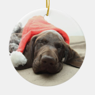 Ornement En Céramique Dreaming of Santa - German Shorthair Puppy