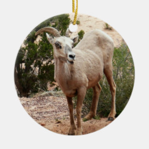 Ornement En Céramique Drôle Mouton de Bighorn dans le parc national Zion