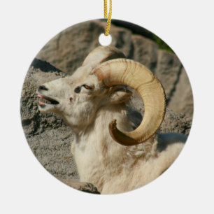 Ornement En Céramique Drôle rire Mouton ou Bighorn Ram